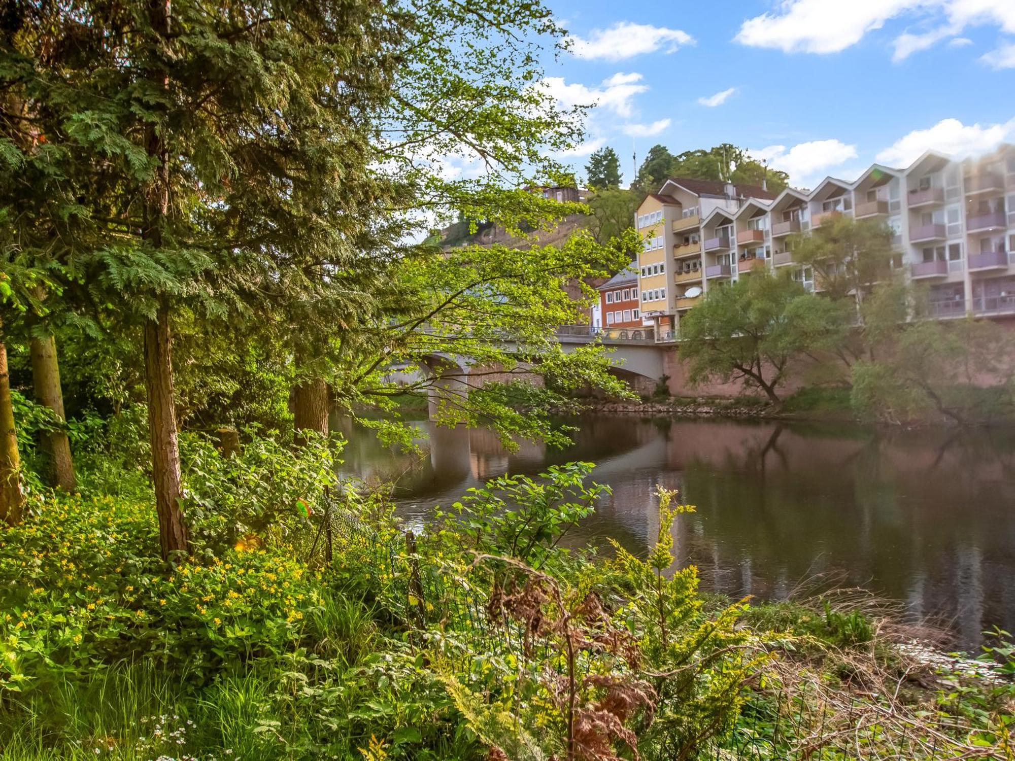 Altstadt Apartment Am Wasser Mit Parkplatz Und Grossem Garten Bad Kreuznach Exterior photo